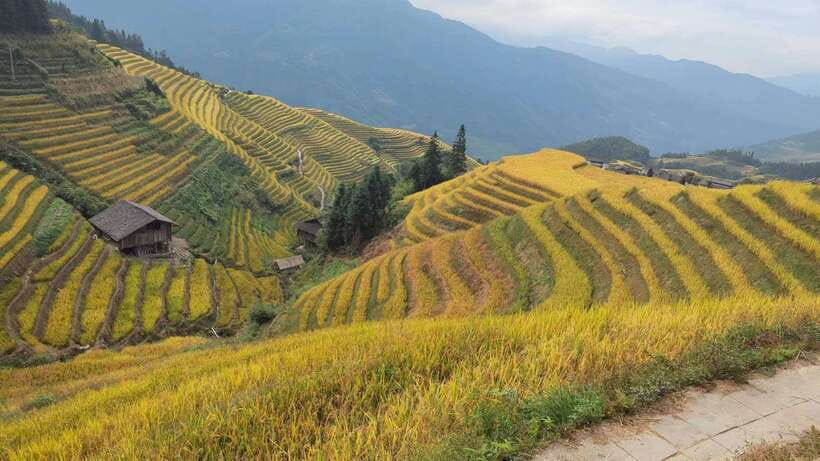 Longji Rice Terraces: Full-Day Private Tour from Guilin - What to bring for the terraces
