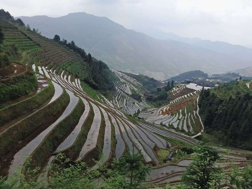 Longji Rice Terraces: Full-Day Private Tour from Guilin - Morning pickup and the road into Guangxi
