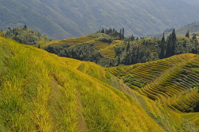 Longji Rice Terraces Hiking Tour Full Day Adventure - The two-hour road to Longji