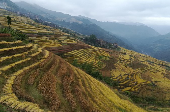 Longji Rice Terraces Hiking Tour Full Day Adventure - Zhuang culture beyond the viewpoints