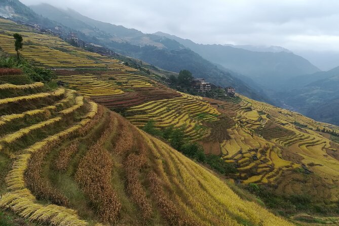 Longji Rice Terraces Hiking Tour Full Day Adventure - Bamboo rice, bamboo chicken, and smoked pork