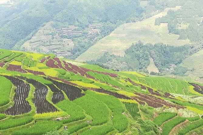 Longji Rice Terraces Hiking Tour Full Day Adventure - Four hours among the Dragon’s Backbone Terraces