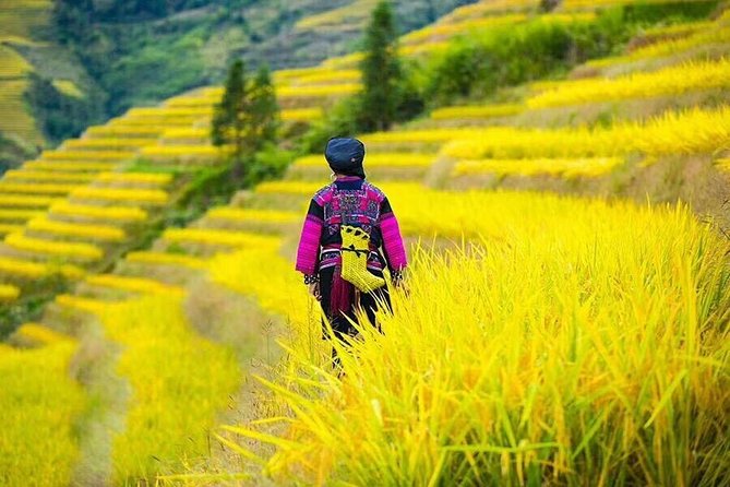 Longji rice terraces & minority villages private day tour - What the $193 Group Price Really Buys