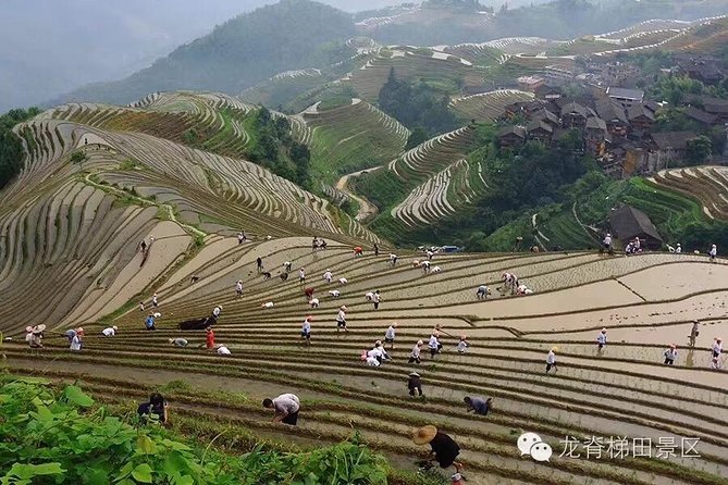 Longji rice terraces & minority villages private day tour - The Return to Guilin and the Real Cost in Time