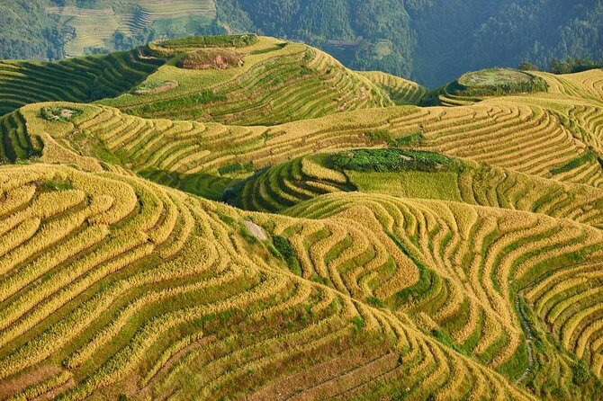 Longji Rice Terraces with Minority Village Private Day Tour - Key points before you book