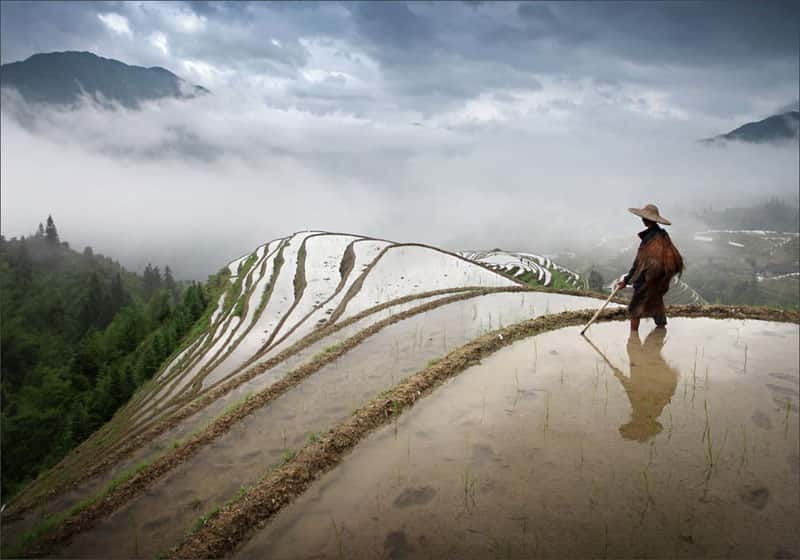 Longsheng Ethnic Minority & Rice Terraces Full-Day Tour - Key points to know before booking