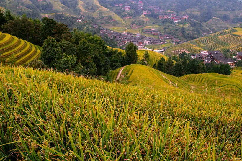 Longsheng Ethnic Minority & Rice Terraces Full-Day Tour - Lunch with a view, and what to expect from the meal