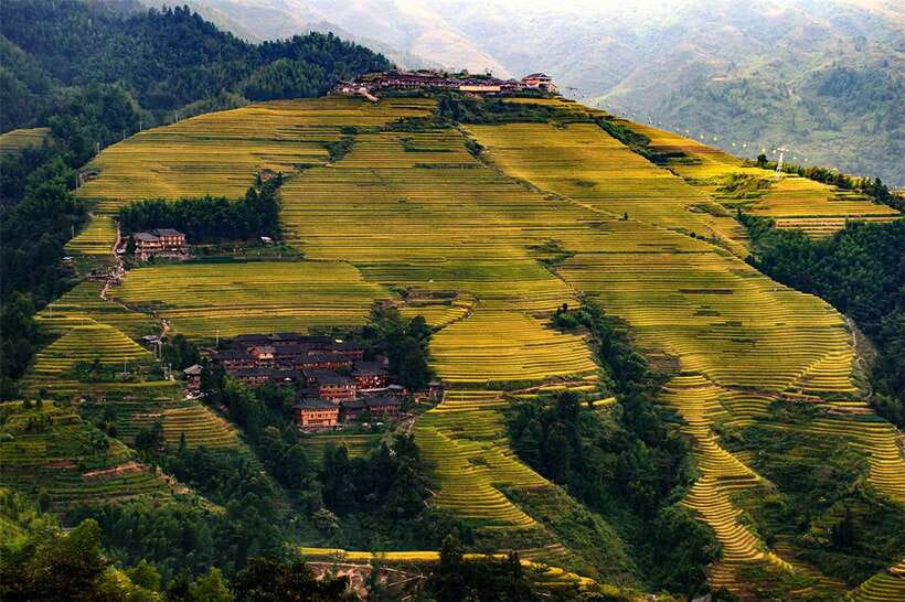 Longsheng Ethnic Minority & Rice Terraces Full-Day Tour - What each season looks like at Longji
