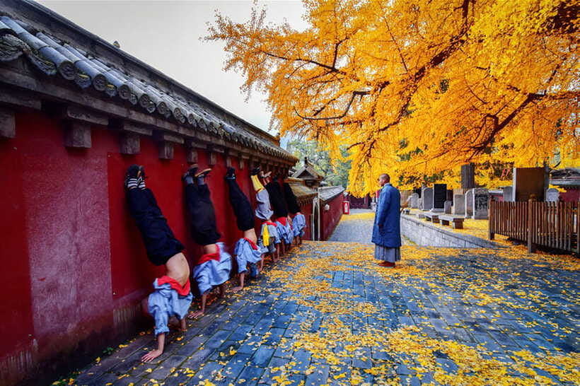 Louyang Day Tour from Xian: Longmen Grottoes, Shaolin Temple - The long road to Shaolin Temple