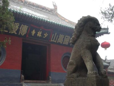 Day tour from Xian or LuoYang with tickets options