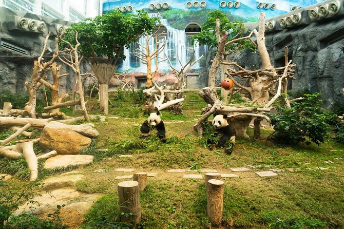 Macau Private Tour with an Insider - Key points before you book