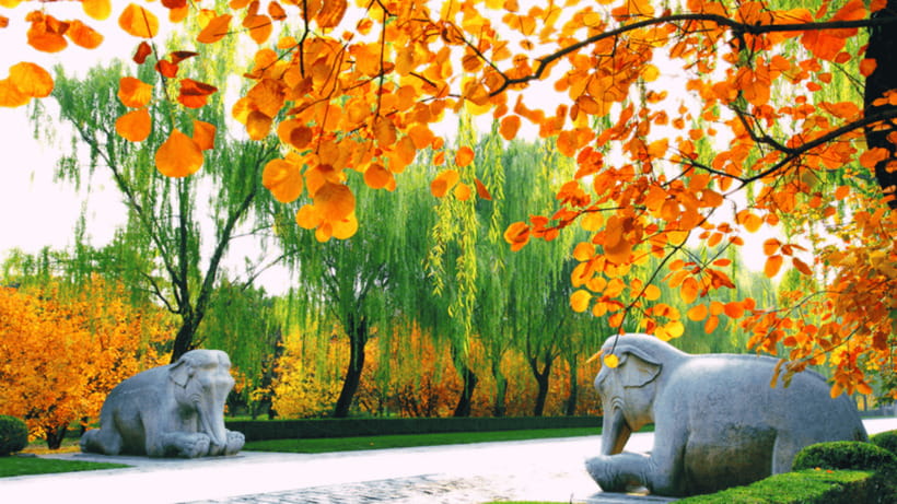Ming Tombs Admission Ticket - Getting between the four separate sites