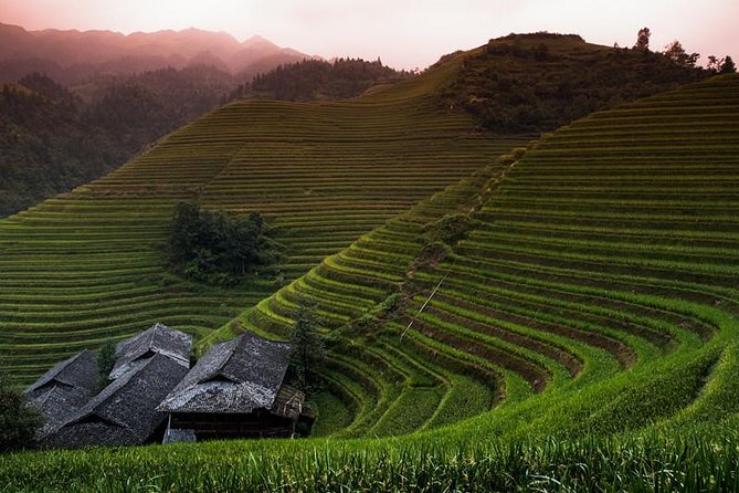 Mini Group: Longji Rice Terraced Fields and Minority Villages Tour - Why the Longji Rice Terraces are worth the drive