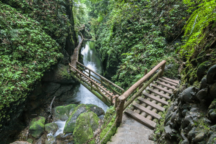 Mount Qingcheng Tour: Explore Serene and Sacred Taoist Site - Temples, Forest, and the Two Sides of Qingcheng