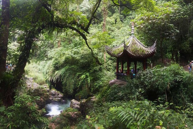 Mt Emei and Giant Buddha 2 Days Tour - Day two: Wannian Temple and the walk to Qingyin Pavilion