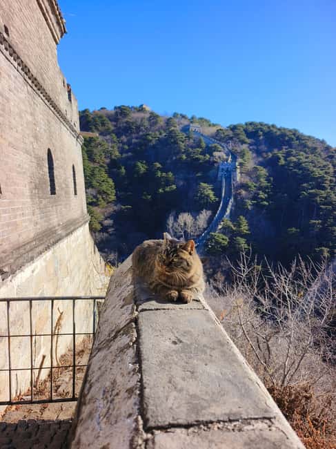 Mutianyu Great Wall Private Tour with English Driver - Cable car, chairlift, and toboggan choices