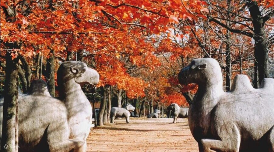 Nanjing:Must-See Attractions in One Day+Customized Itinerary - Confucius Temple beside the Qinhuai River