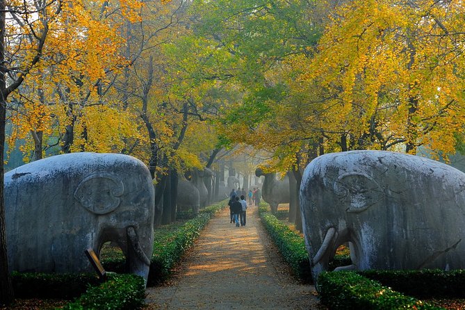 Nanjing Private English Tour Guide Service - Why a private guide helps in Nanjing
