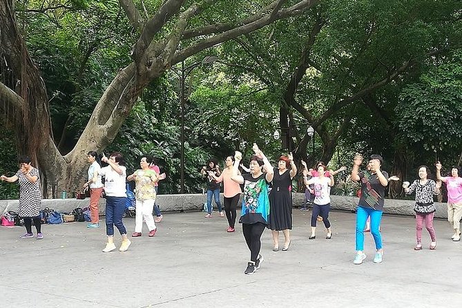 Old Guangzhou Backstreet Alley Local Market Walking Private Tour - Public Transport Makes the Day More Local