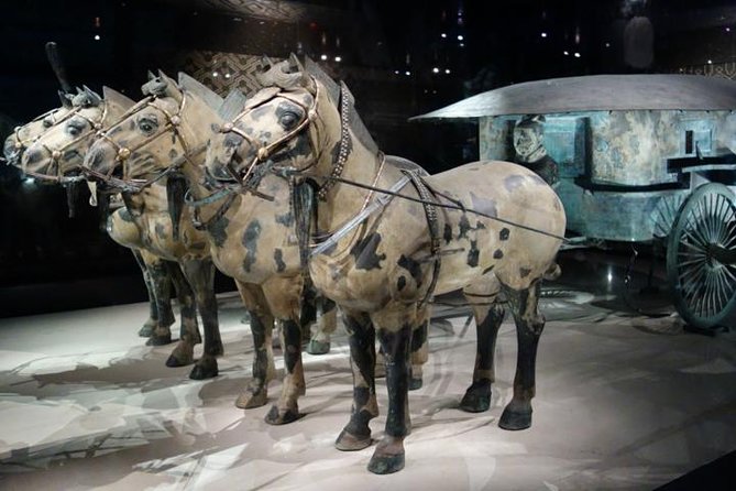One Day Chengdu Xian Tour by Bullet Train - What the bullet train adds to the day