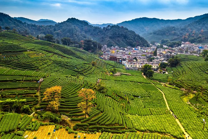 One-Day Hangzhou Dragon Well Tea Culture & West Lake Private Tour - Why this Hangzhou day works so well
