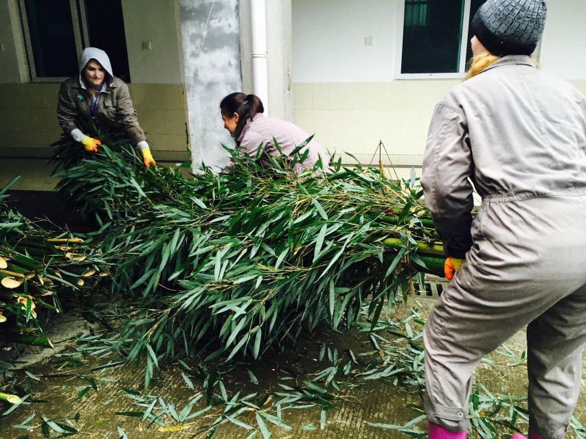 Panda Volunteer Project Day Trip(Wolong/Du Jiang Yan) - Returning to Chengdu around 3:30 p.m.