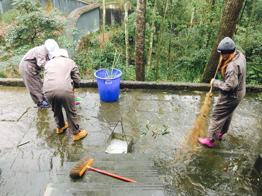 Panda Volunteer Project Day Trip(Wolong/Du Jiang Yan) - What the $115 price really buys you