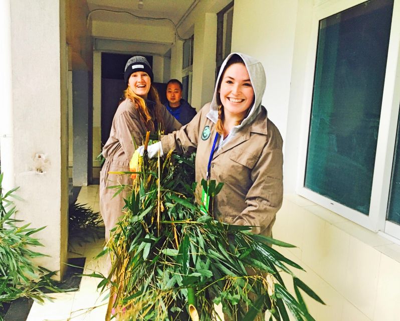 Panda Volunteer Project Day Trip(Wolong/Du Jiang Yan) - The 7:00 a.m. pickup from Chengdu