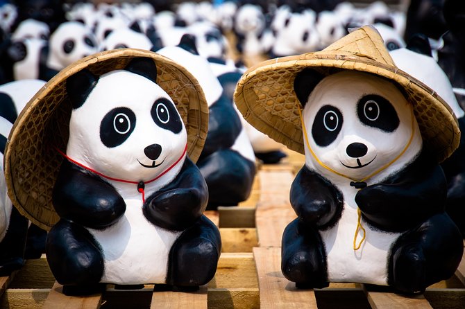 Private Day Tour: Dujiangyan Panda Base and Irrigation Project - Why this Chengdu day trip works