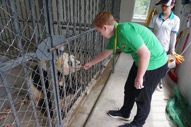 Private Day Tour: Dujiangyan Panda Base Volunteering from Chengdu - Cleaning enclosures and preparing panda food