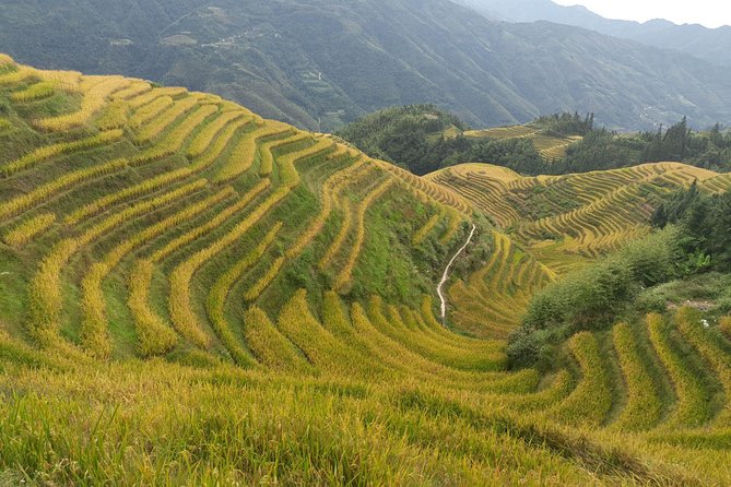 Private Day Tour: Longji Rice Terraces and Long Hair Village - An 8:30 pickup that keeps the day simple
