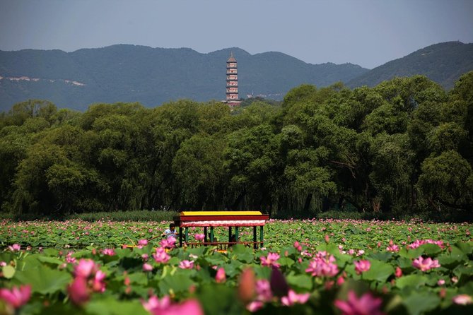 Private Day Tour: Summer Palace and Old Summer Palace in Beijing - Climbing toward the Tower of Buddhist Incense