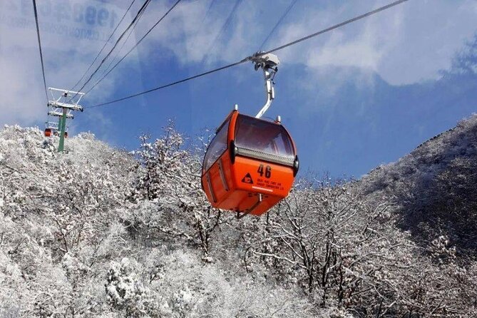 Private Day Tour to Beijing Mutianyu Great Wall - Extending the tour to eight hours
