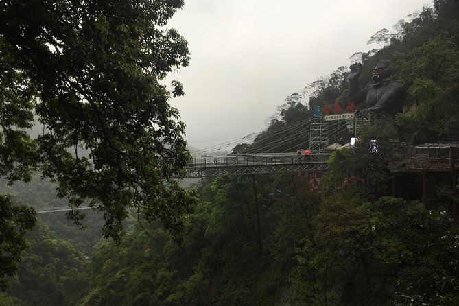 Private Day Tour to Gulong Canyon Glass Bridge from Guangzhou - The 329-meter glass bridge