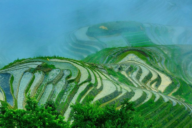 Private Day Tour to Longji Rice Terraces and Long Hair Village from Guilin - Lunch with local Guilin flavors