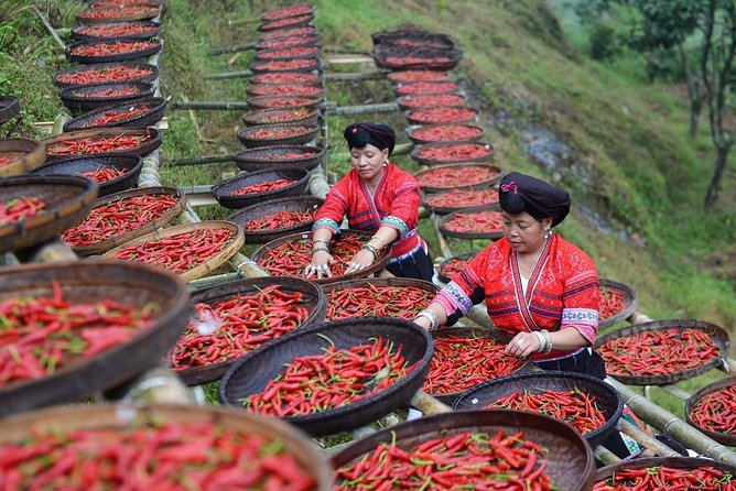 Private Day Tour to Longji Rice Terraces and Long Hair Village from Guilin - The guide can shape the day