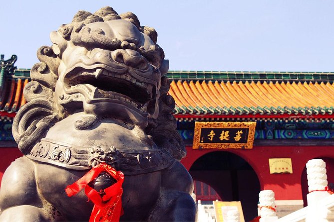 Private Day Tour to Shaolin Temple from Beijing by Bullet Train with Kungfu Show - Why Shaolin is worth the long ride from Beijing