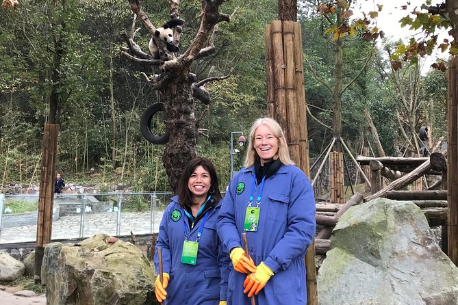 Private Dujiangyan Panda Base Panda Rescue Center Volunteer for a Day - Why this panda day feels different from a standard visit