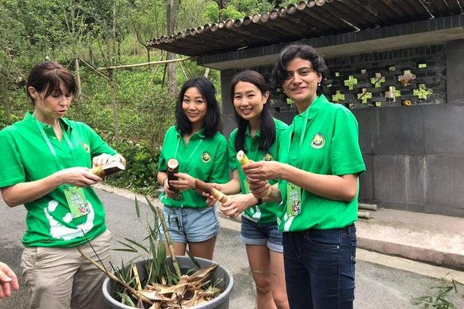 Private Dujiangyan Panda Base Panda Rescue Center Volunteer for a Day - The 7:00 am pickup and drive from Chengdu