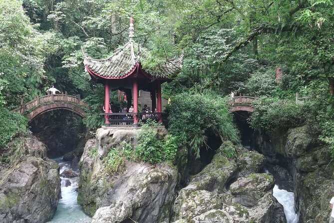 Private Full-day Trip: Leshan Giant Buddha&Emeishan Scenic Resort - Guide quality can shape the whole day