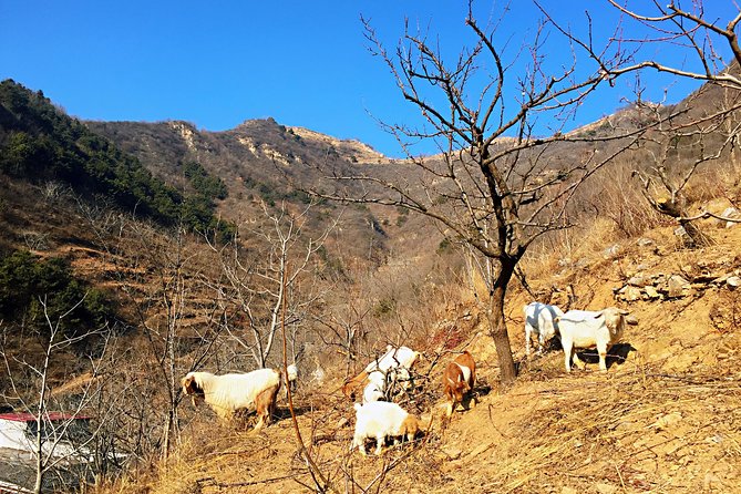 Private Great Wall Hiking Tour: Across The Border of 3 China Provinces - A 20-minute walk to a mountain village