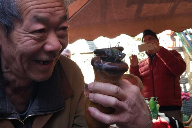 Private Hutong Culture Tour with Dumpling Cooking Class plus Cricket Fighting Game - Why this hutong day works well
