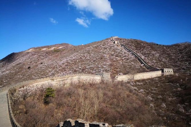 Private Layover Tour to Mutianyu Great Wall and Forbidden City - A private guide can improve a rushed day