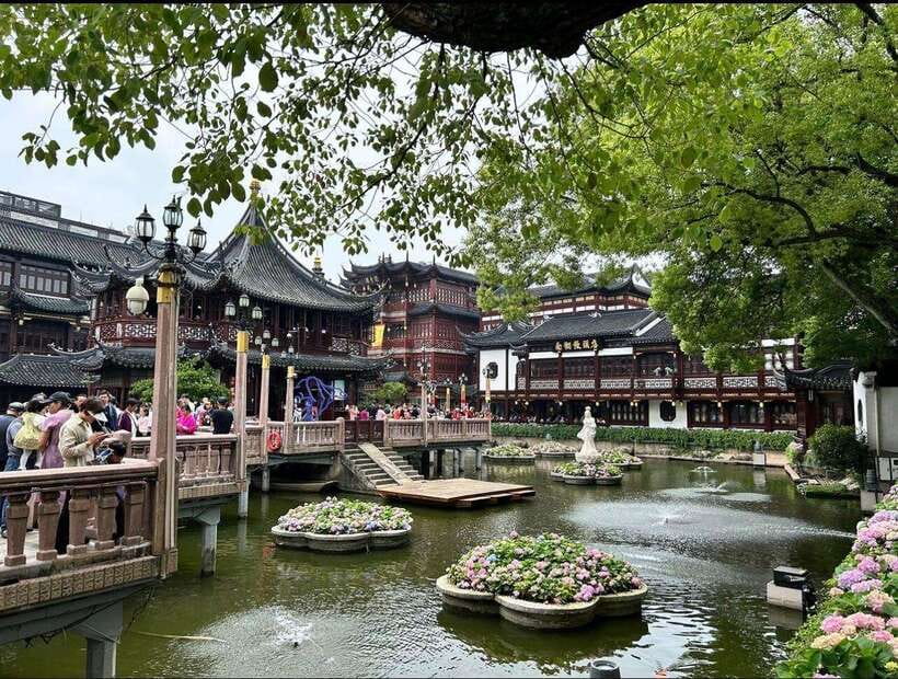 Private Lyaover: Cruising Shanghai in A Tesla - Why this tour works for a Shanghai layover