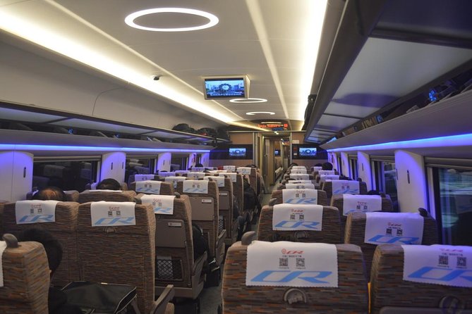 Private Tianjin Port Departure Transfer from Beijing by Bullet Train Experience - Arrival at Tianjin Railway Station
