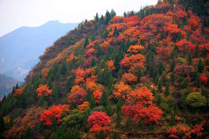 Private Tour: Badaling Great Wall and Kangxi Grasslands on Horseback - Badaling in two hours: famous for good reason
