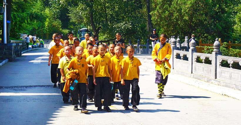 Private Tour: Longmen Grottoes, Shaolin Temple & Kungfu Show - Five things to know before booking