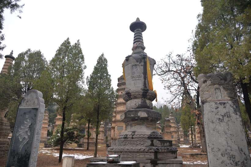 Private Tour: Longmen Grottoes, Shaolin Temple & Kungfu Show - Timing, crowds, and practical advice