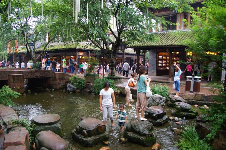 Private Tour to Leshan Giant Buddha & Huanglongxi Old Town - Lingyun Temple and the Buddha’s 1,020 hair buns