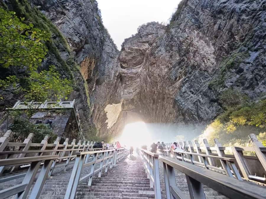 Private VIP Zhangjiajie Tianmen Mountain Day Tour - Tianmen Mountain Temple and the tree growing against stone